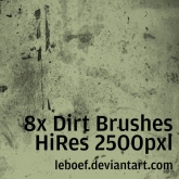 Dirt brushes