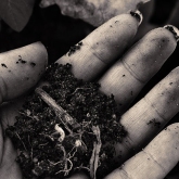Dirt