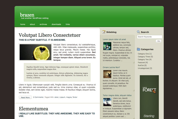 See it on ThemeForest